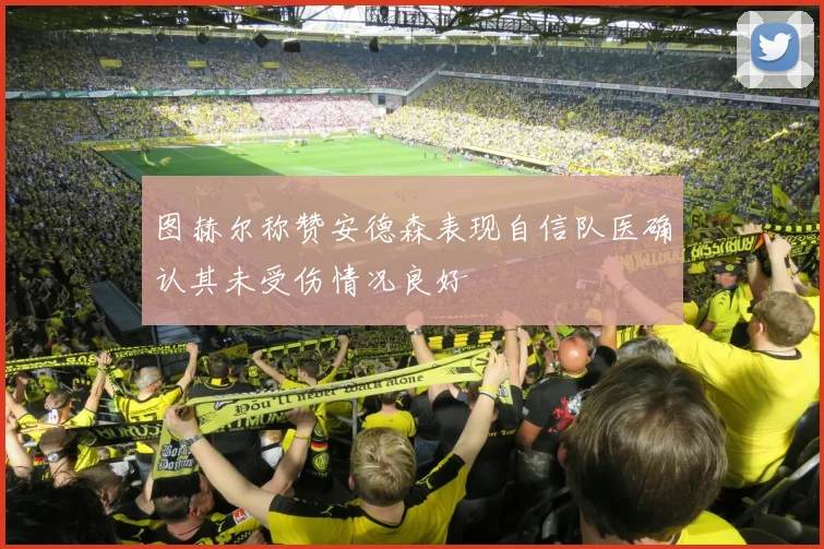 图赫尔称赞安德森表现自信队医确认其未受伤情况良好